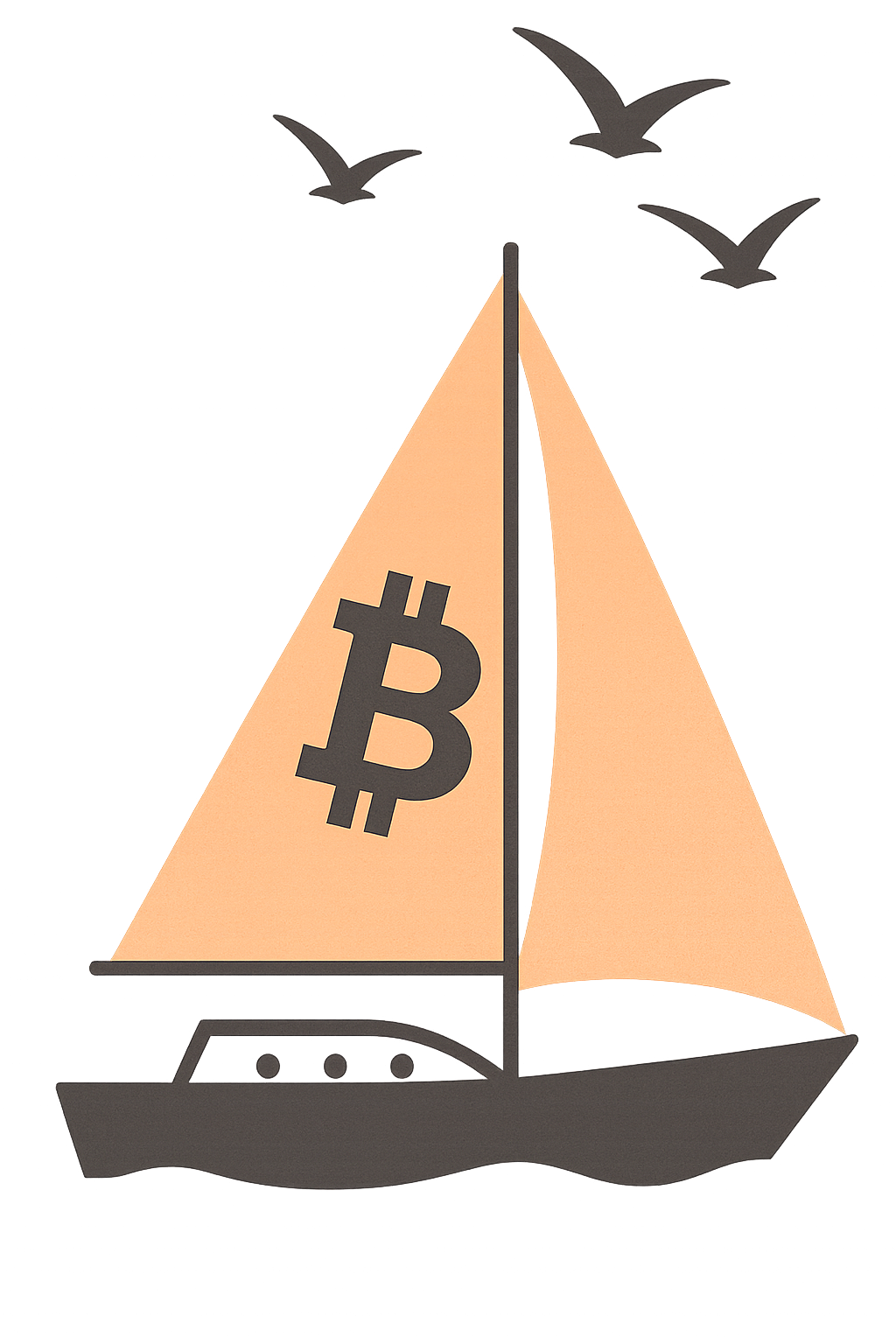 Bitcoin boat sailing